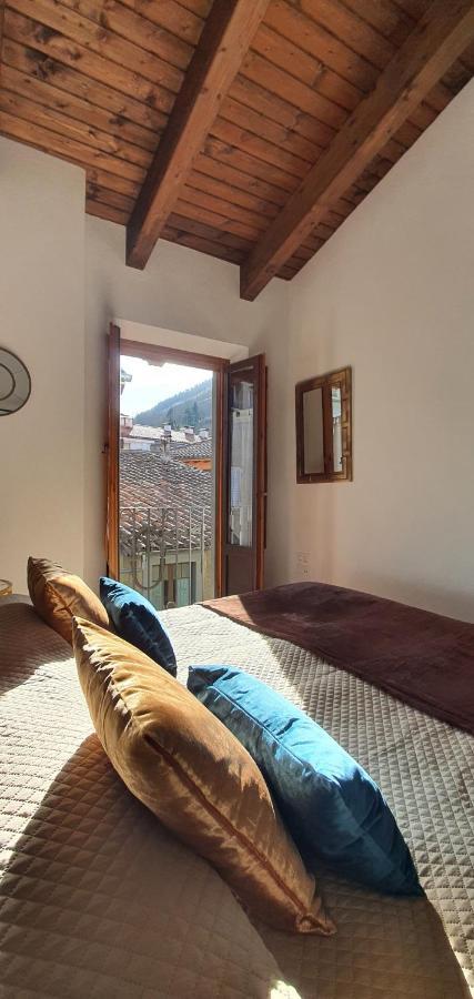 Apartamento Cal Tranquil Camprodon, Acollidor Atic Al Centre Exterior foto